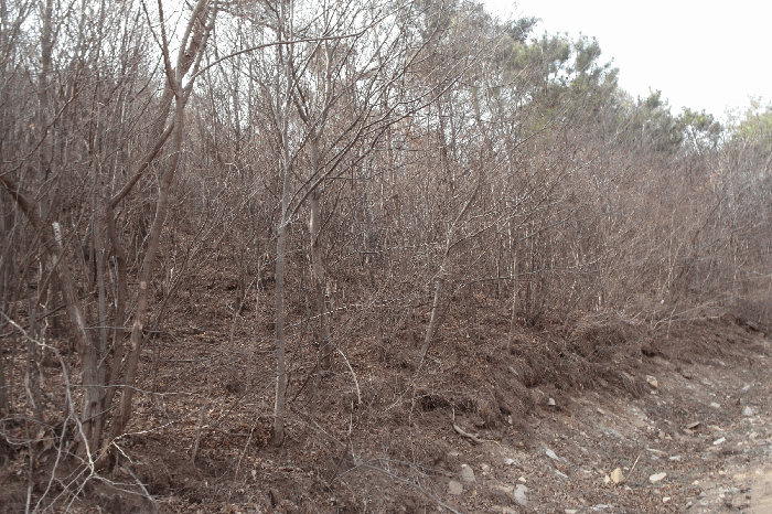 충청남도 논산시 벌곡면 한삼천리 395-6 외 3 필지