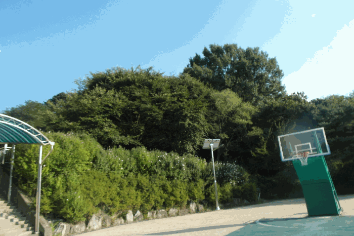 충청남도 계룡시 엄사면 엄사리 232-177