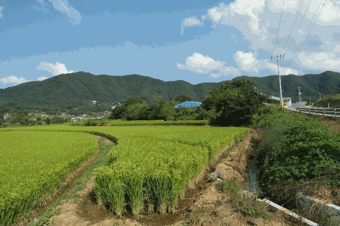 충청남도 논산시 연산면 신암리 87-9 외 3 필지