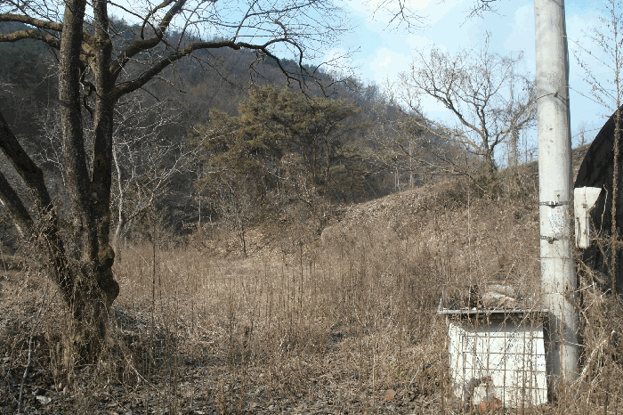 충청남도 논산시 양촌면 오산리 515