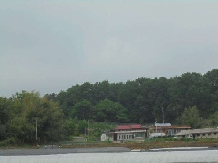 충청남도 부여군 장암면 지토리 산111-12