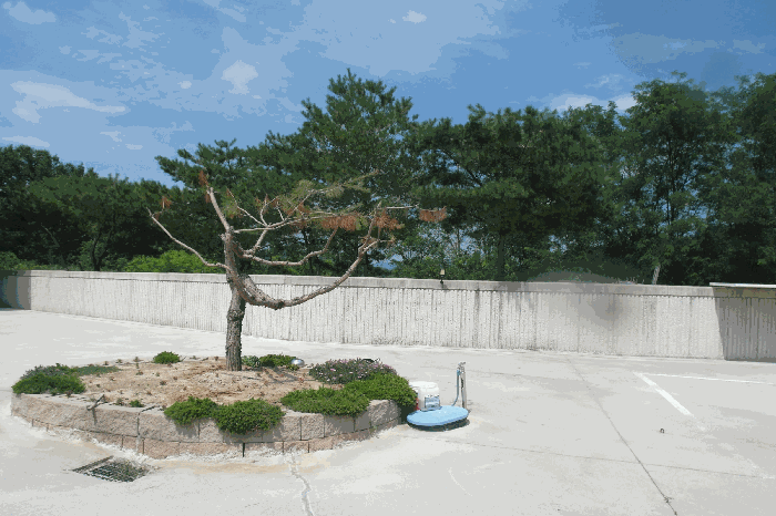 충청남도 논산시 부적면 신교리 147-37 외 2 필지