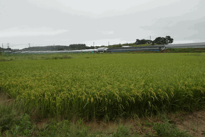 충청남도 논산시 광석면 천동리 205-4