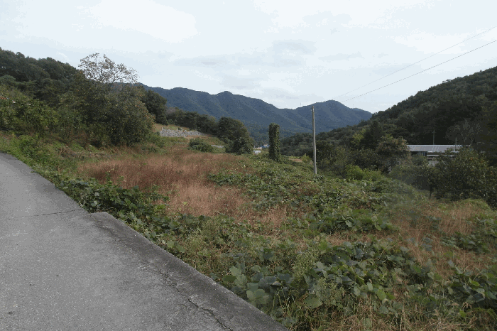 충청남도 논산시 연산면 송정리 산5-4 외 2 필지