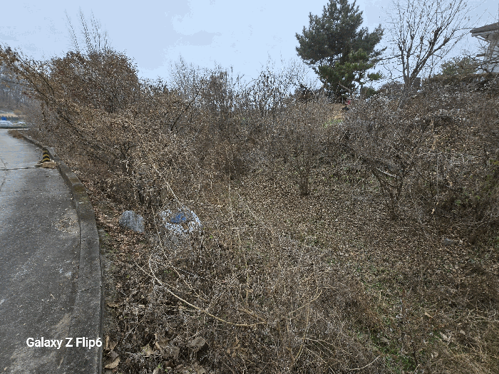 충청남도 논산시 연산면 신양리 산45 외 11 필지