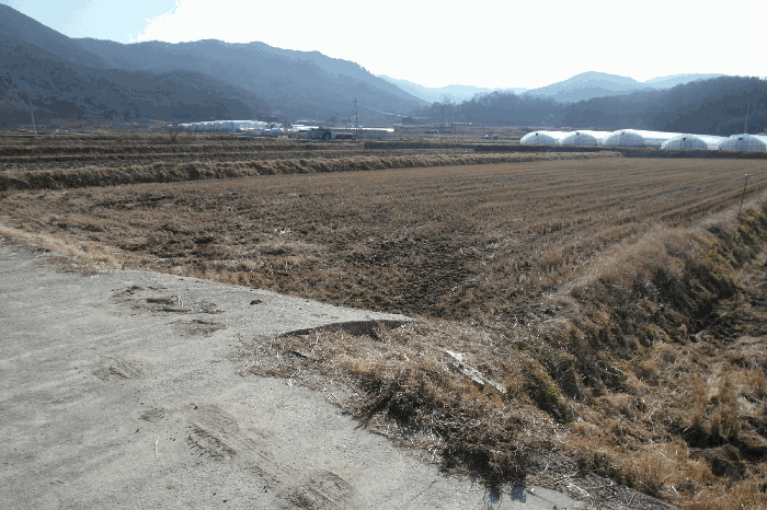 충청남도 논산시 연무읍 양지리 219-7
