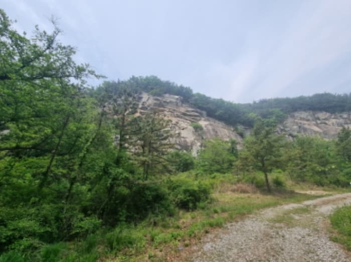 충청남도 아산시 영인면 상성리 산29-5 외 5 필지