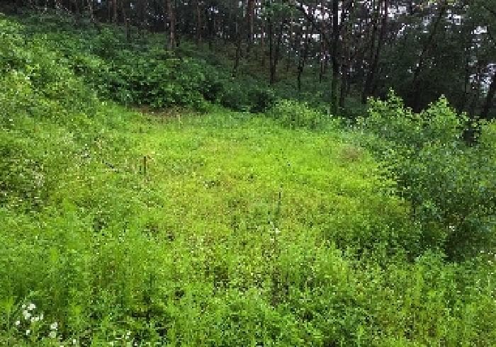 충청남도 아산시 송악면 송학리 산25 외 3 필지