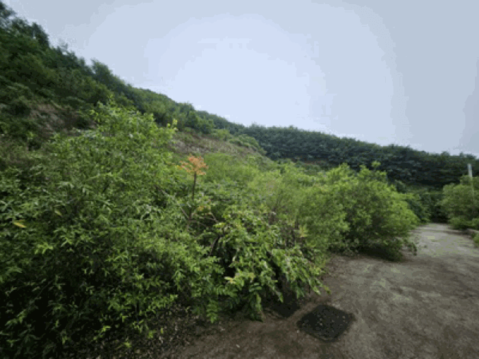충청남도 천안시 동남구 북면 용암리 288-27 외 7 필지