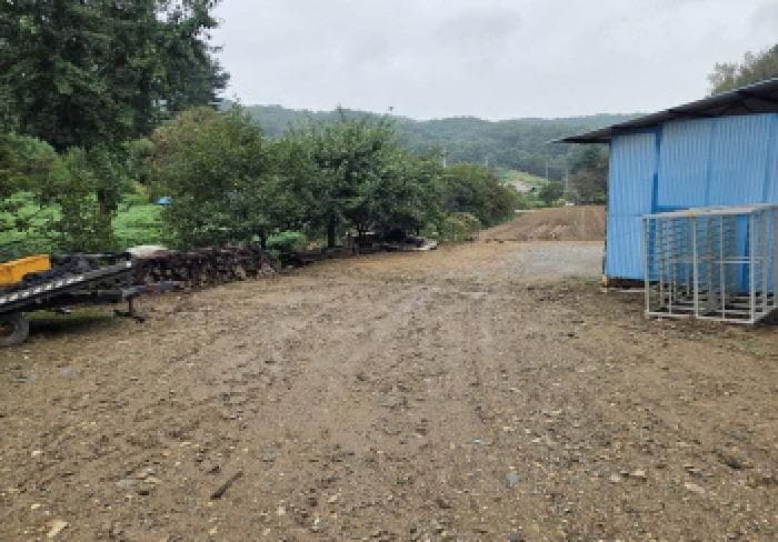 충청남도 아산시 도고면 농은리 374
