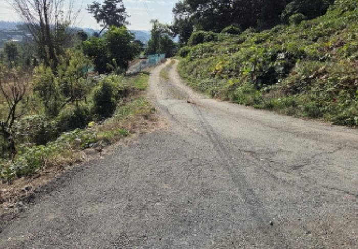 충청남도 아산시 음봉면 산동리 15-1