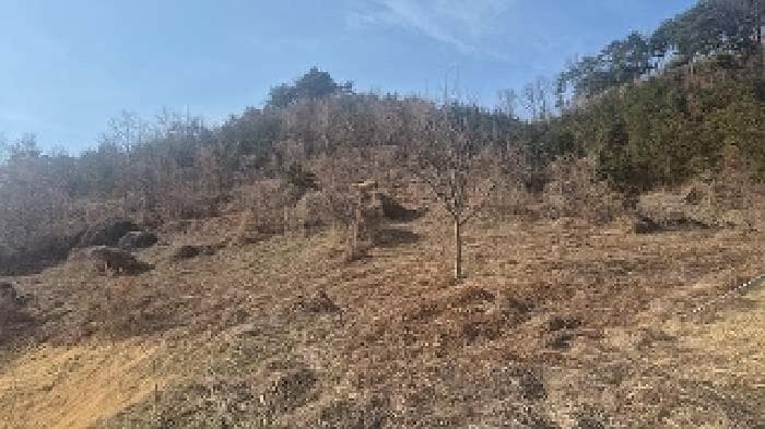 충청남도 천안시 동남구 병천면 관성리 234