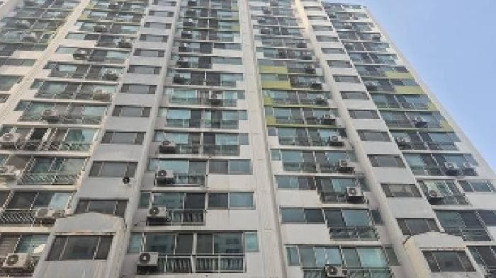 충청남도 천안시 동남구 신방동 874 성지새말아파트 204동 3층 305호