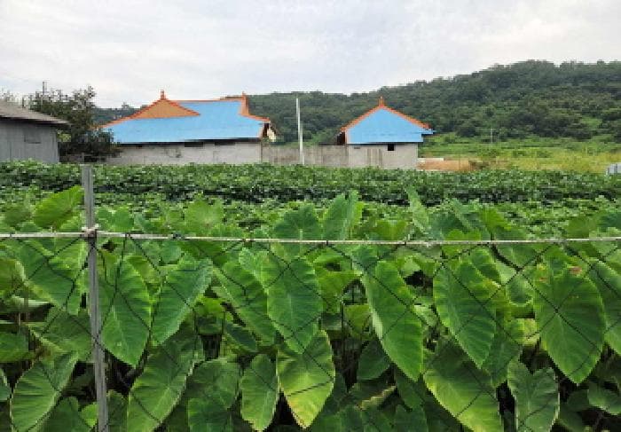 충청남도 아산시 염치읍 쌍죽리 37-2 외 3 필지