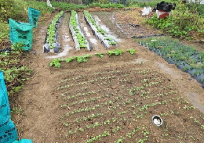 충청남도 아산시 염치읍 방현리 538