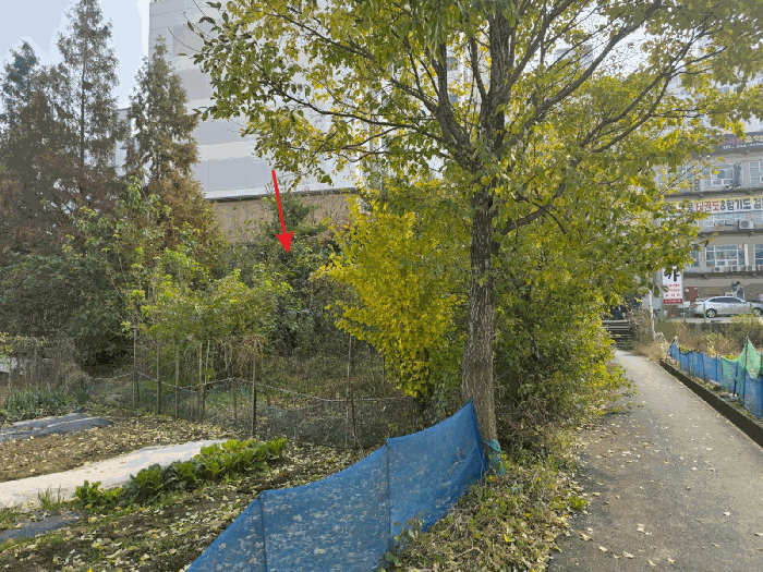 충청남도 아산시 모종동 361-175