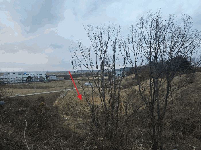 충청남도 아산시 신창면 신곡리 103