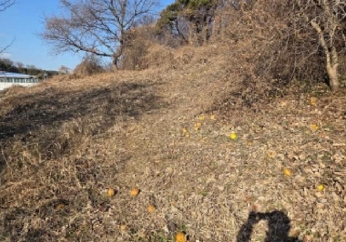 충청남도 아산시 인주면 해암리 349-6