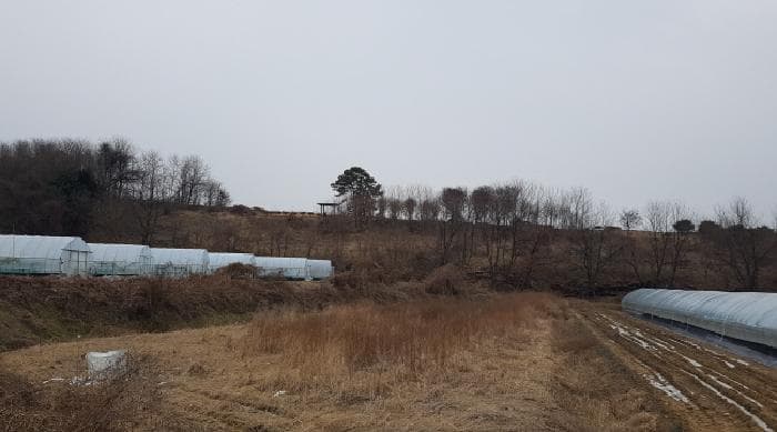 충청남도 천안시 동남구 수신면 백자리 187-5 외 1 필지