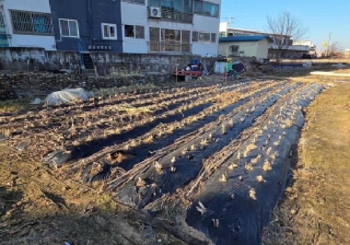 충청남도 천안시 서북구 성거읍 요방리 154-5 외 3 필지