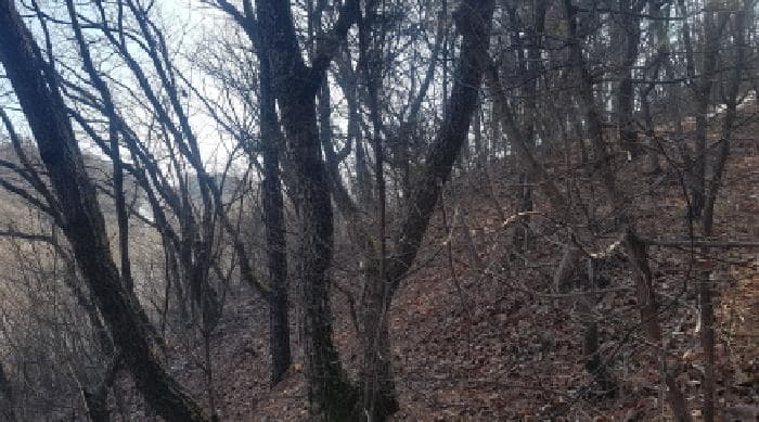 충청남도 천안시 동남구 광덕면 원덕리 산151-2 외 1 필지