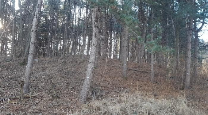 충청남도 천안시 동남구 목천읍 운전리 산62
