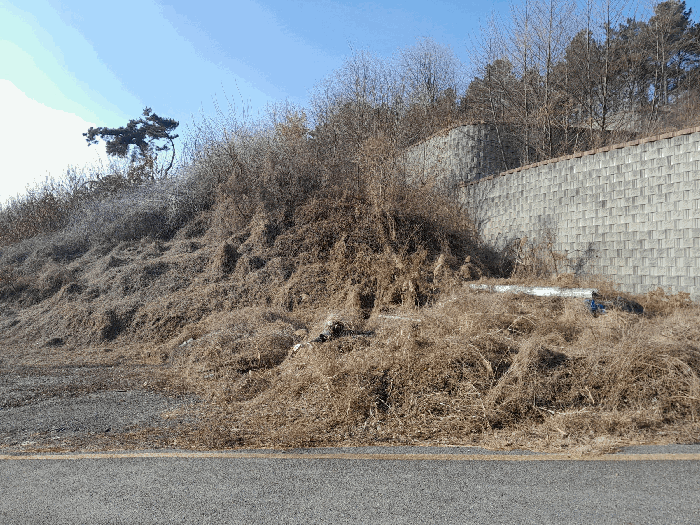 충청남도 아산시 점양동 203-14