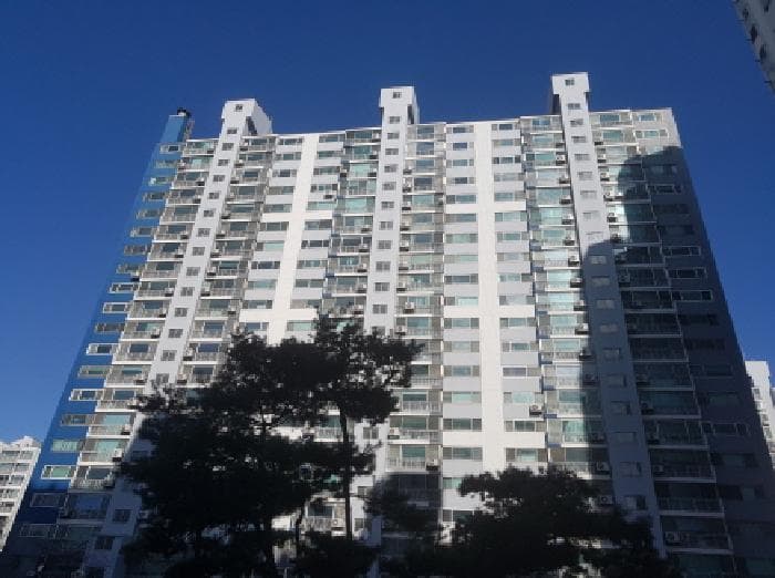 충청남도 천안시 서북구 두정동 526-1 극동늘푸른아파트 107동 2층204호
