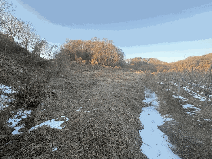 충청남도 아산시 영인면 아산리 204