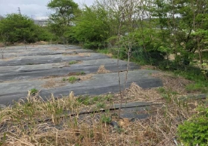 충청남도 아산시 탕정면 동산리 산25-19