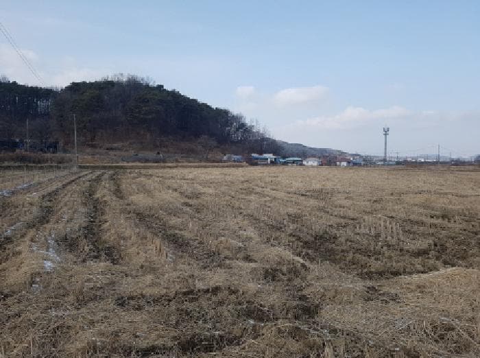 충청남도 천안시 동남구 광덕면 신흥리 181-1 외 1 필지