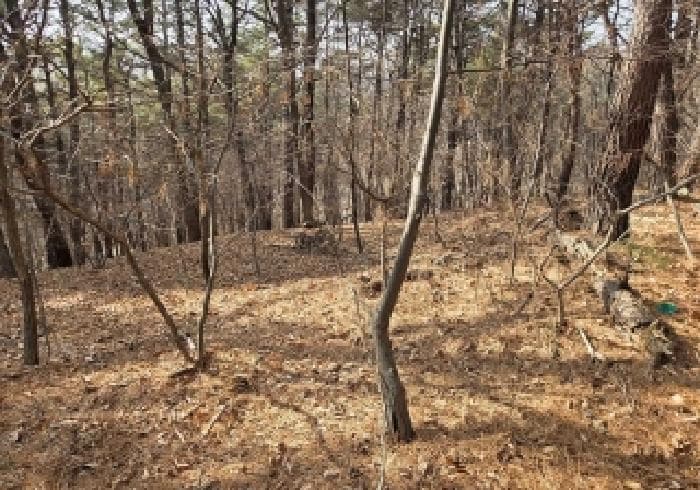 충청남도 아산시 신창면 창암리 산23