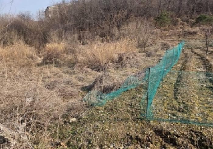 충청남도 아산시 음봉면 덕지리 246
