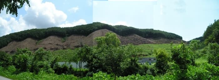충청남도 공주시 유구읍 명곡리 산25 외 11 필지