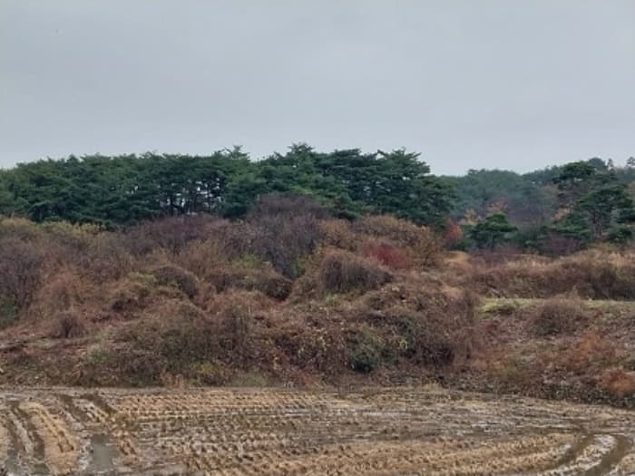 충청남도 청양군 화성면 구재리 87