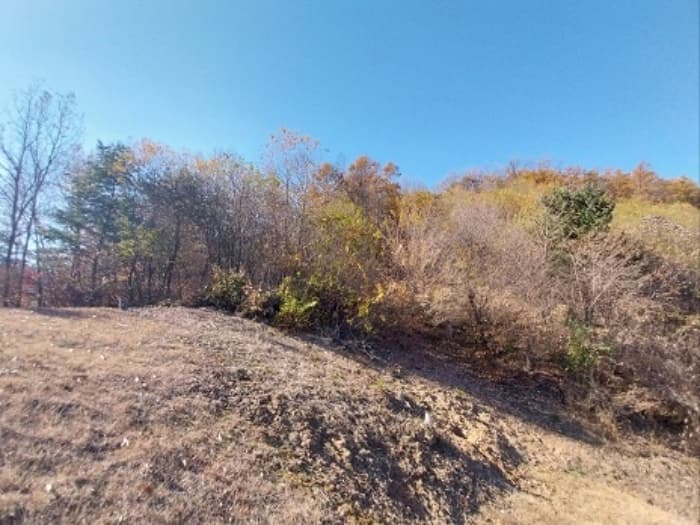 충청남도 공주시 계룡면 기산리 산109-3