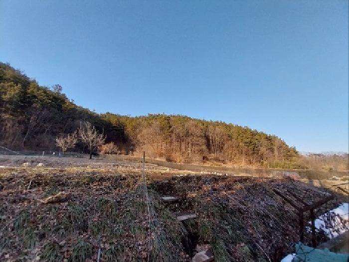 충청남도 공주시 유구읍 입석리 산23