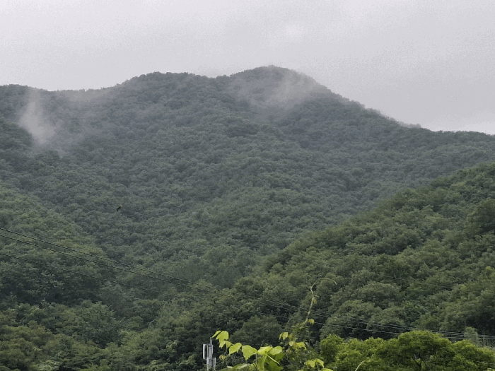 충청남도 공주시 우성면 죽당리 산21