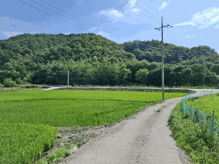 충청남도 공주시 오곡동 583-1