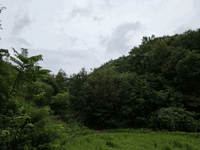 충청남도 공주시 유구읍 만천리 산58-3