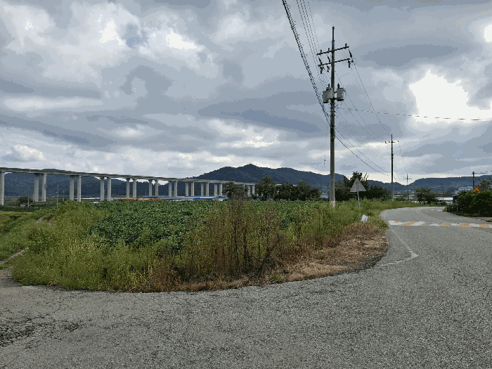 충청남도 청양군 정산면 학암리 263-1