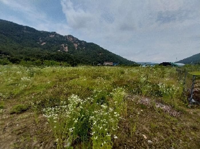 충청남도 공주시 반포면 온천리 282 외 1 필지