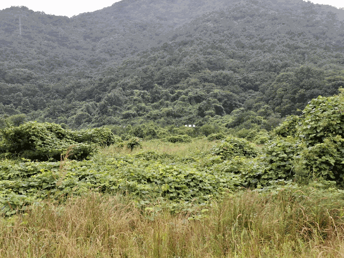 충청남도 공주시 사곡면 가교리 682