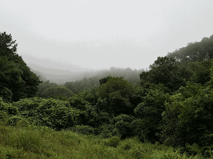 충청남도 공주시 유구읍 탑곡리 산99-2