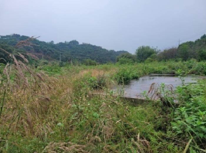 충청남도 공주시 의당면 도신리 265