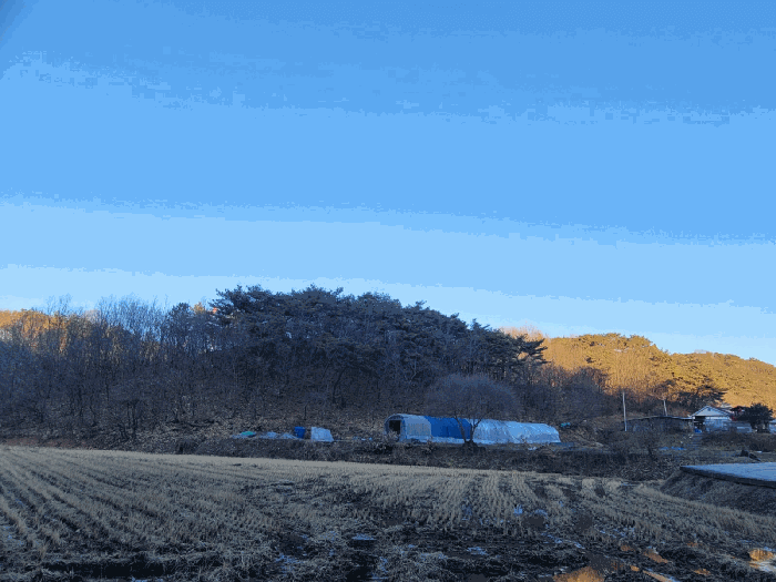충청남도 공주시 이인면 만수리 산36