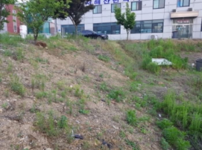 충청남도 당진시 송악읍 청금리 316-51 외 7 필지
