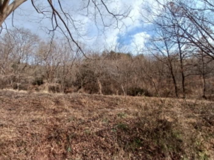 충청남도 당진시 고대면 항곡리 산39-1
