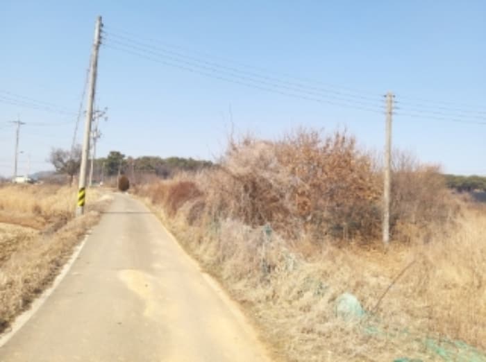 충청남도 당진시 송악읍 중흥리 513 외 1 필지