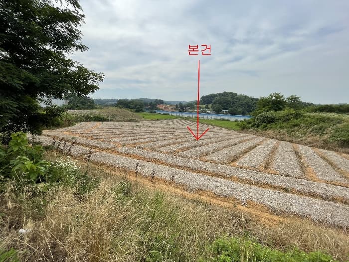 충청남도 당진시 송악읍 전대리 694-10